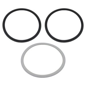 6" Tri Clover Compatible Gasket - DSO